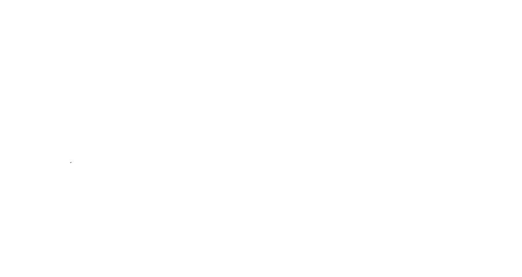 Lynch air, land, & sea detailing logo featuring an aeroplane, car, & boat in an art deco style surrounding the name Lynch in a bold type face